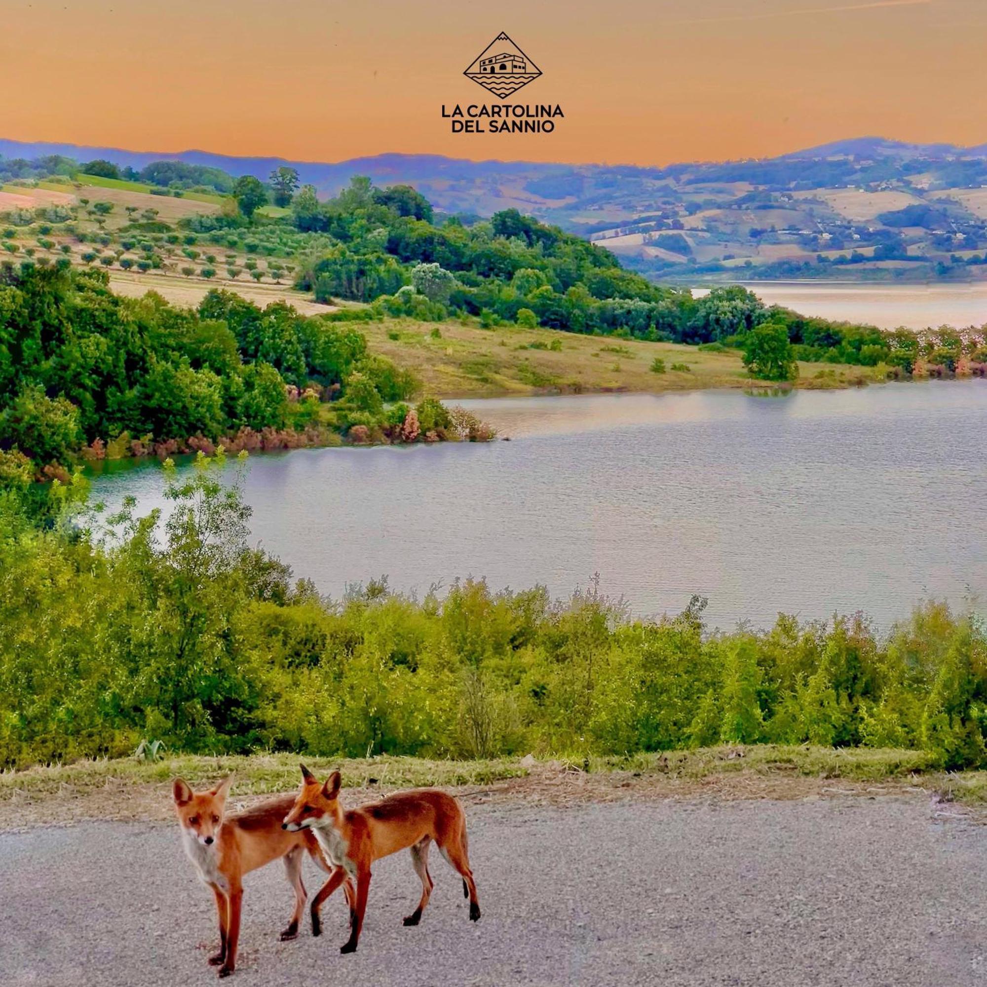 La Cartolina Del Sannio Acomodação com café da manhã Campolattaro Exterior foto
